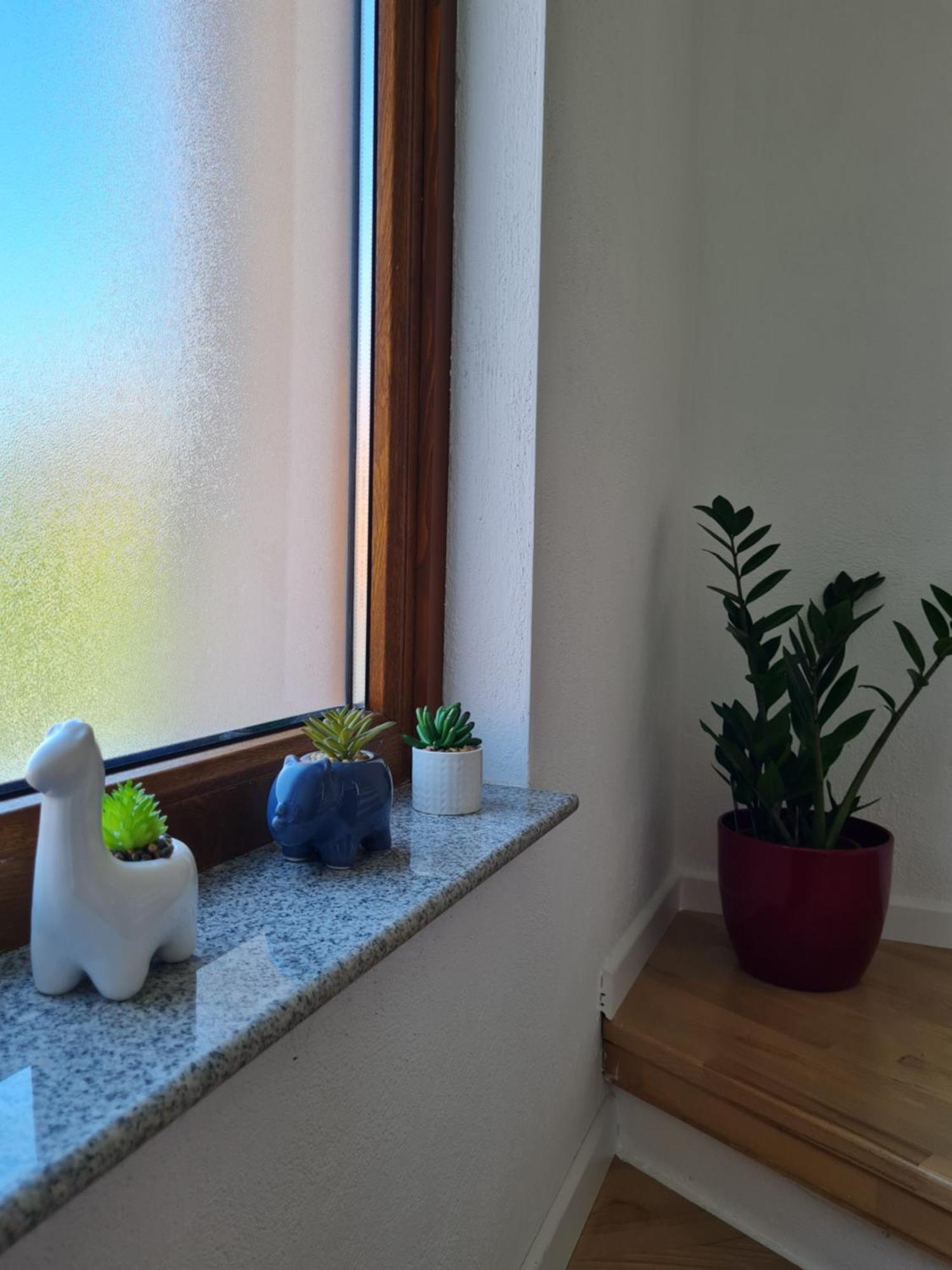 Apartment Maya